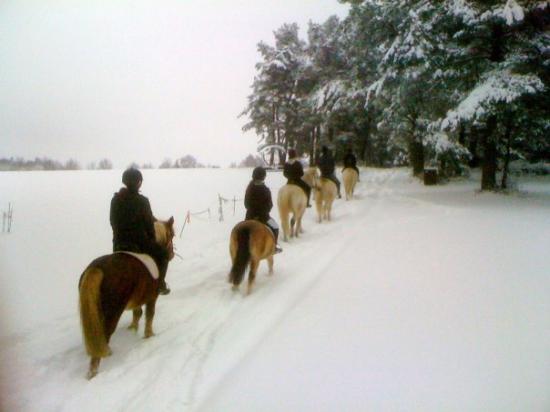 Balades dans la neige prés des Ecuries....