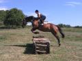 LE CROSS / PTV