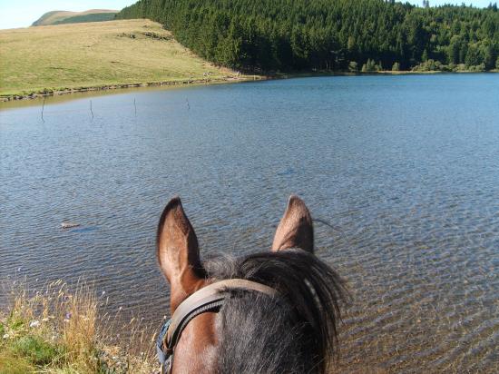 le calme plat au lac Servière