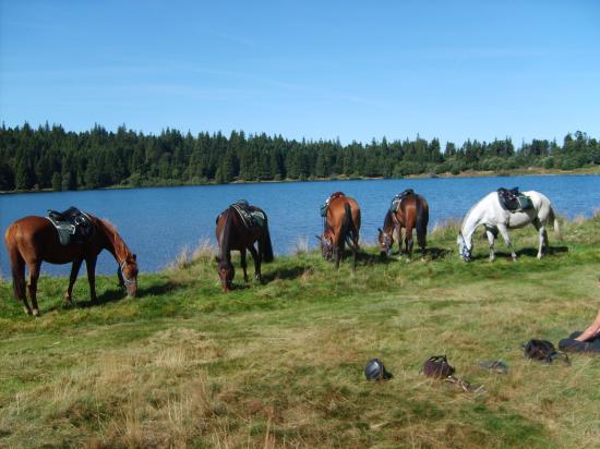 Pause au lac Servière