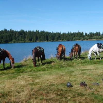 Pause au lac Servière