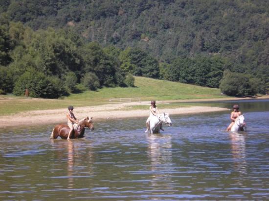 La plage de la Chazote.....et les Chevaux