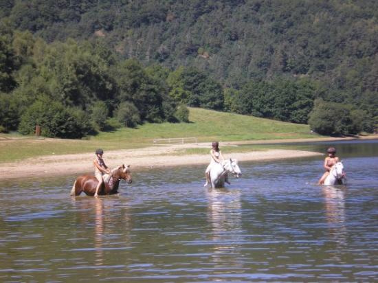 La plage de la Chazote.....et les Chevaux