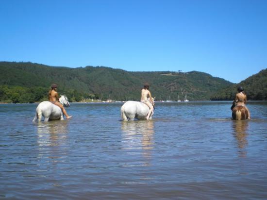 Baignade au plan d'eau de la chazote....