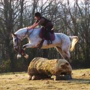 LE GROS TRONC