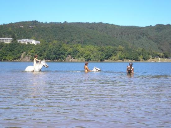 La Retenue des Fades ...... et les chevaux