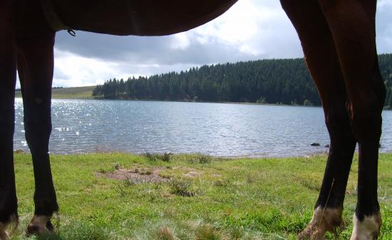 Jordie et.....le calme du lac Servière