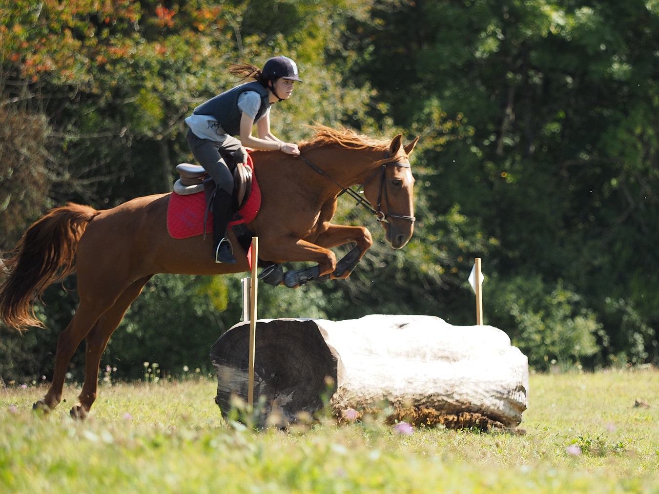 Fête du cheval 2017