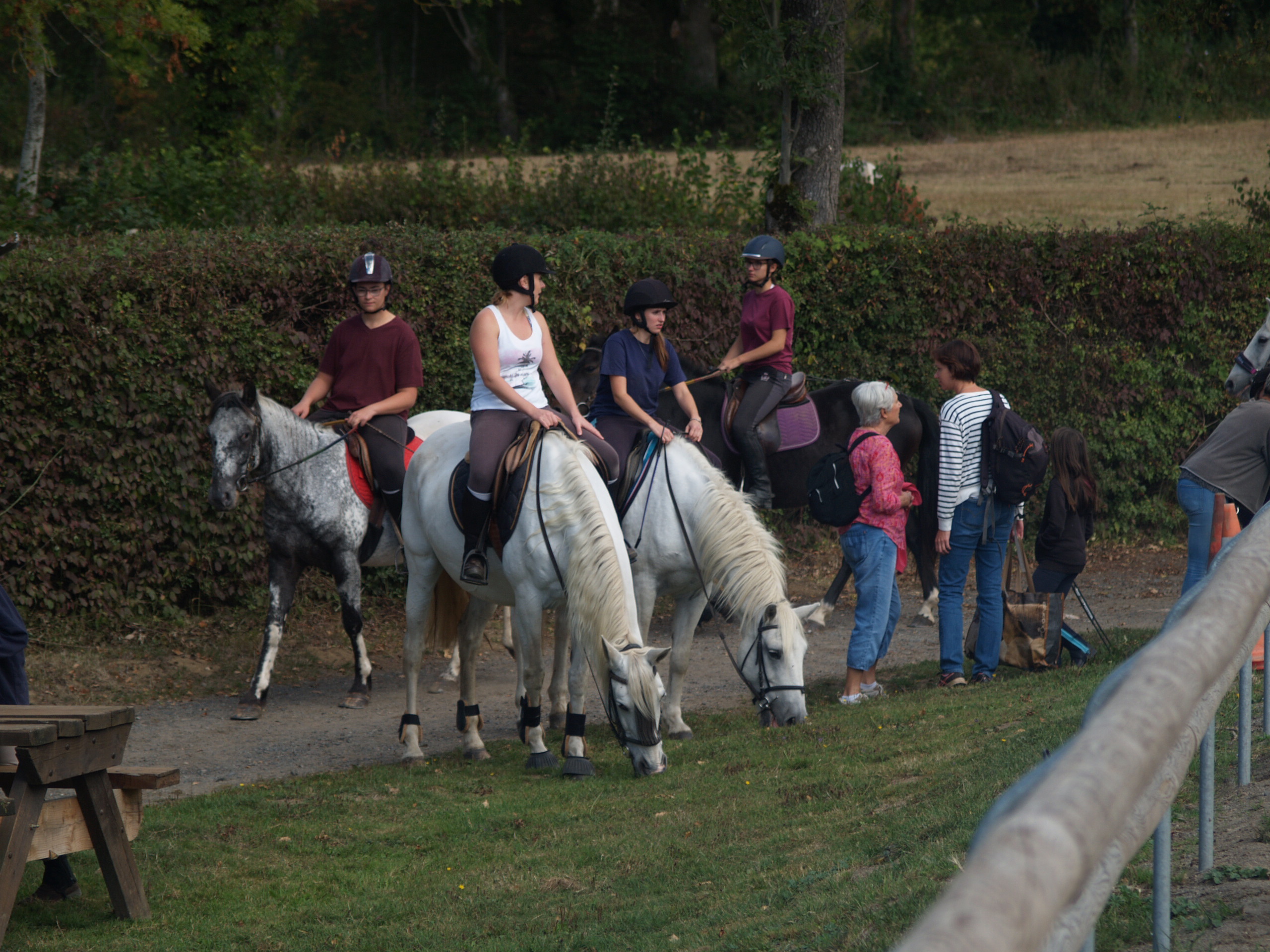 Fête du cheval 2018