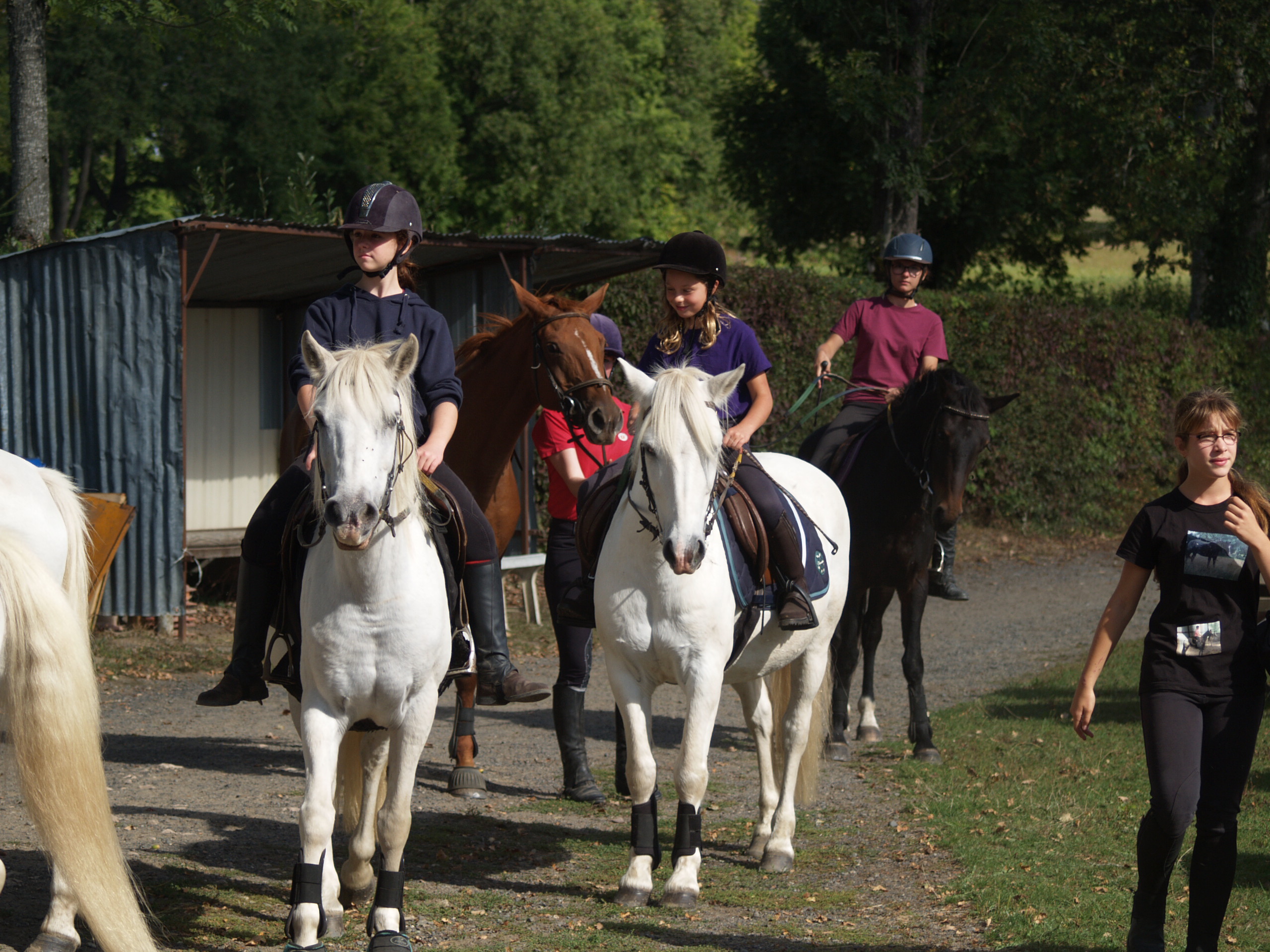 Fête du cheval 2018