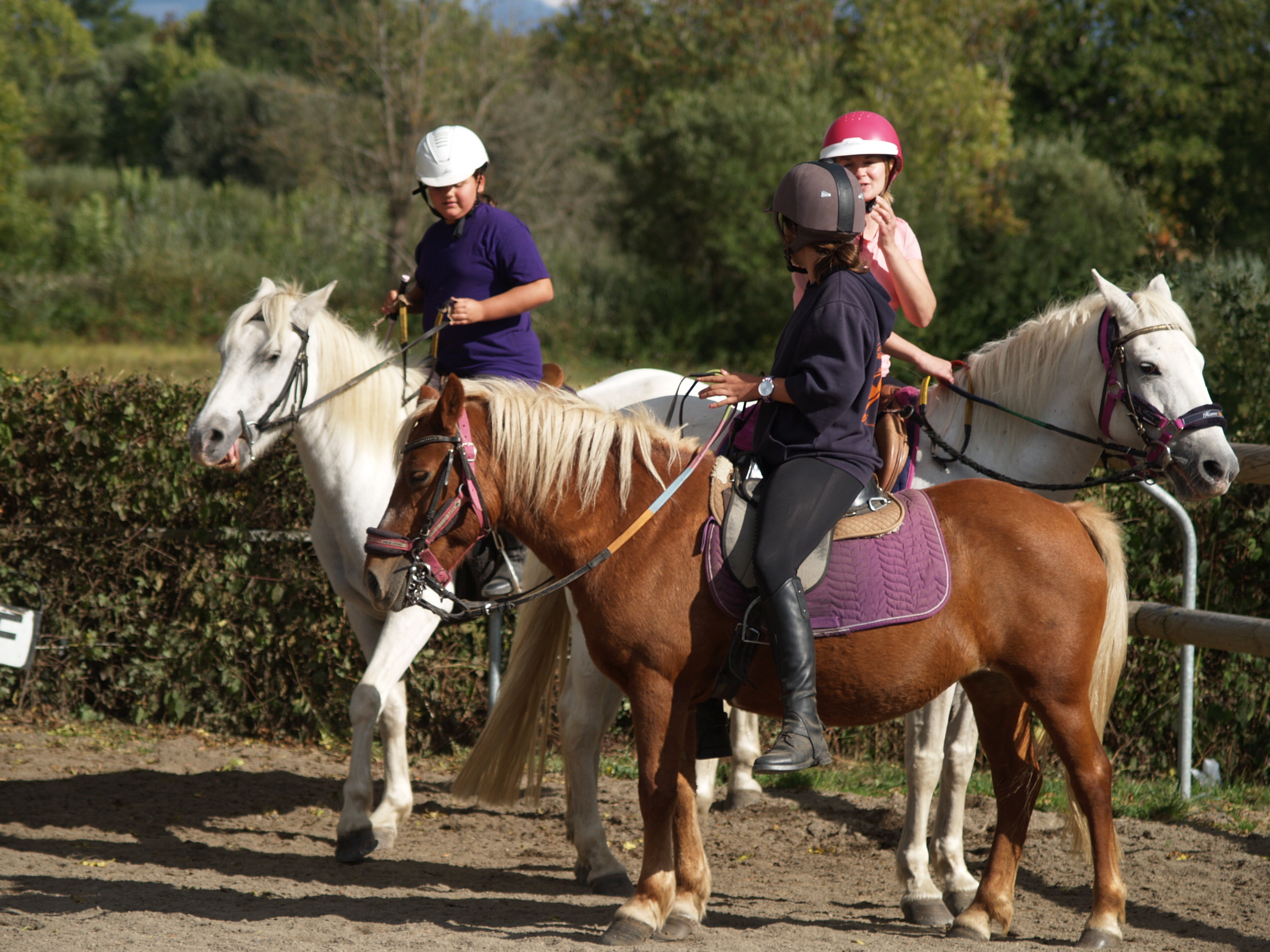 Fête du cheval 2018