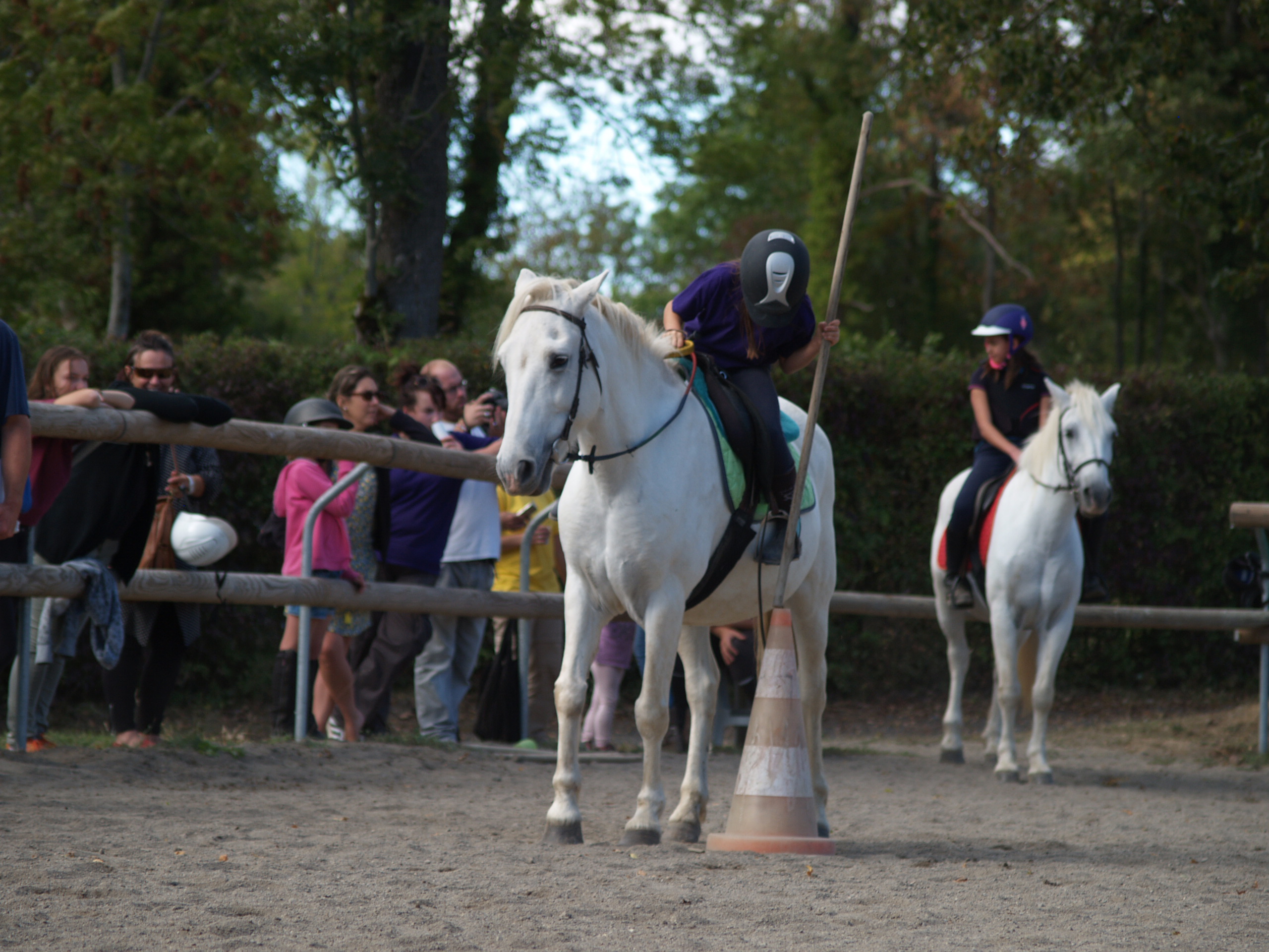 Fête du cheval 2018