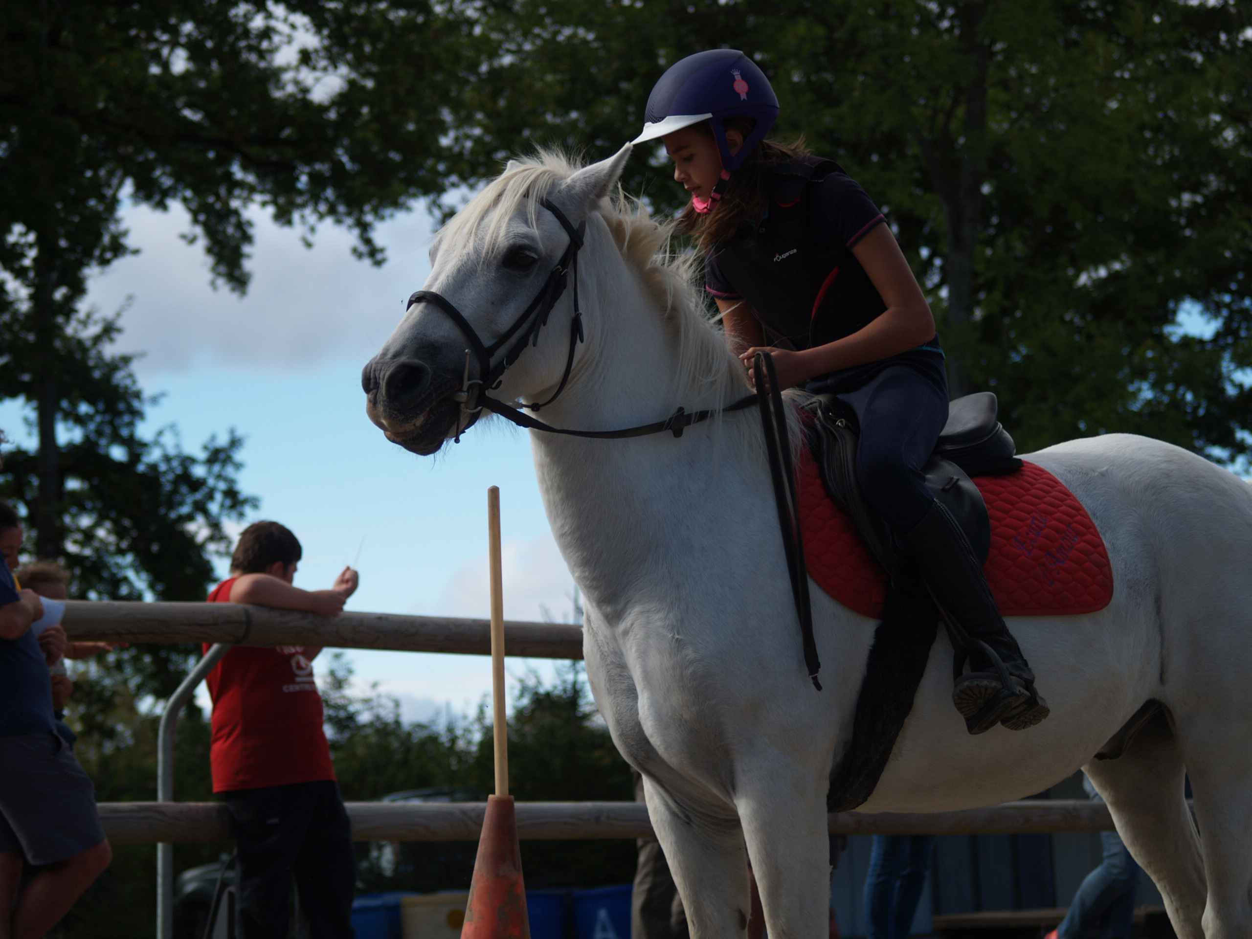 Fête du cheval 2018