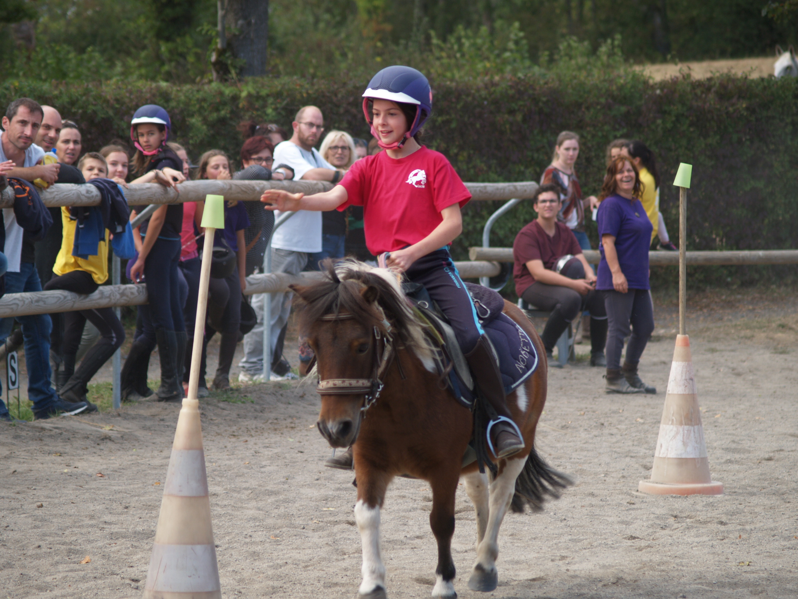 Fête du cheval 2018