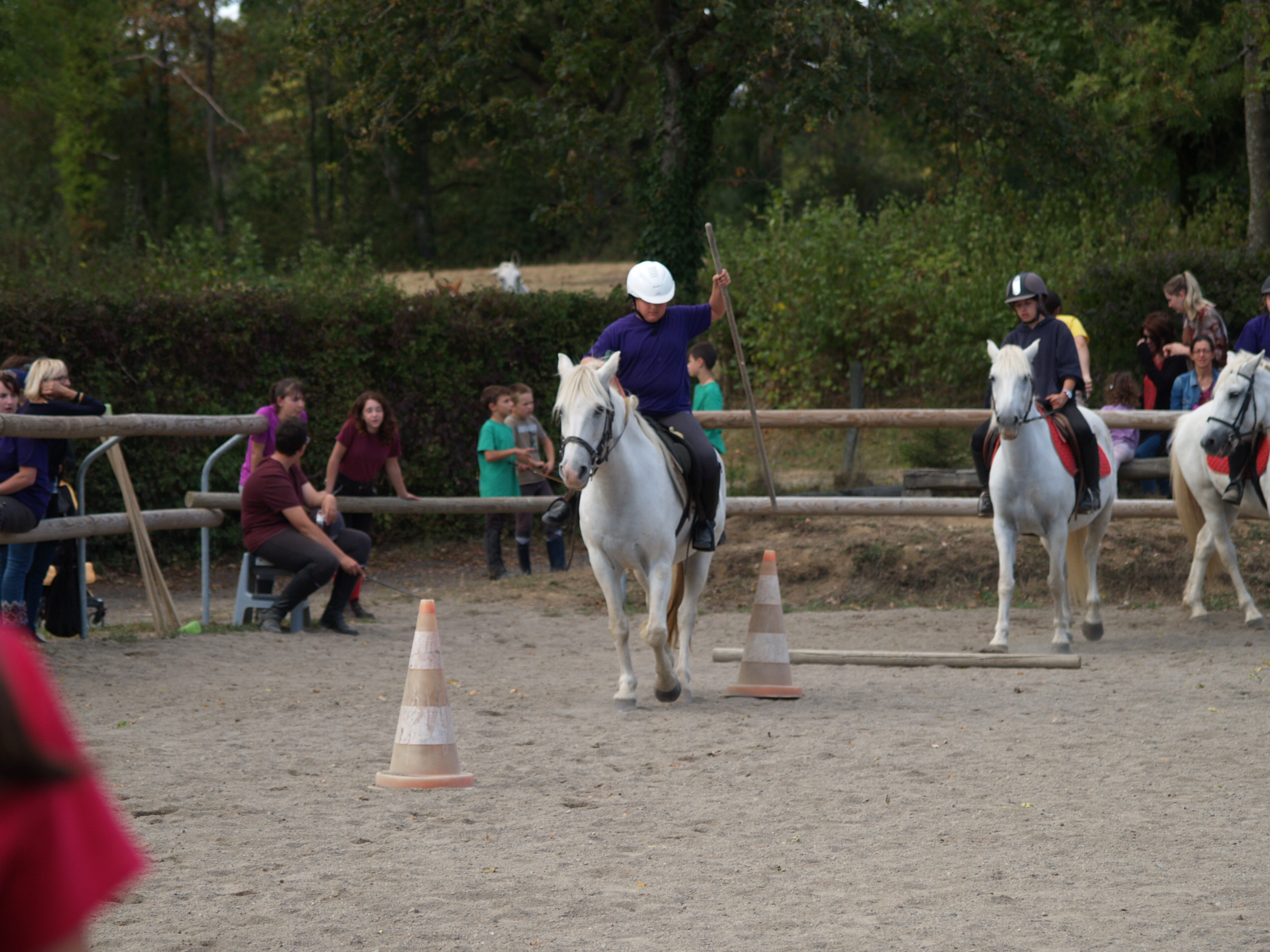 Fête du cheval 2018