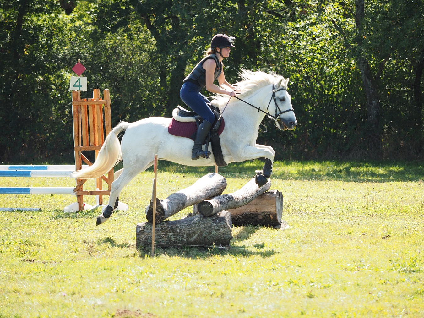 Fête du cheval 2017